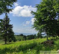 Greenery and trees in the Gardens near Hriňová, with a view of distant hills.
