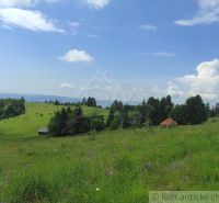 Meadows in Hriňová with blooming grass and rural buildings on the horizon.