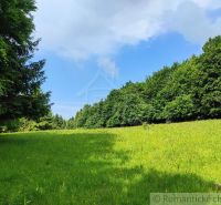 A green meadow surrounded by forests in Záhrady in Hriňová under a blue sky.