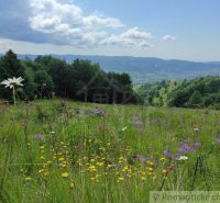 A flower meadow in the Gardens in Hriňová with a panoramic view of hills and trees.