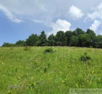 A green meadow with flowers and a forest in the background in the Gardens near Hriňová.