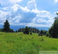 An area with trees and a meadow in the gardens of Hriňová under a blue sky with clouds.