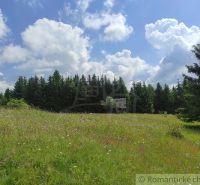 A meadow with flowers surrounded by a forest in the Gardens in Hriňová under a blue sky.