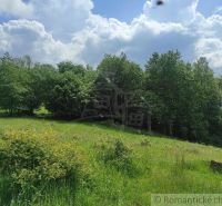 Gardens in Hriňová with a forest, grassy meadow, and clouds in the blue sky.