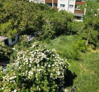 A garden with lush vegetation and a cottage in Dunajská Lužná, Land - residential.