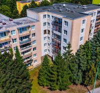 Apartment buildings surrounded by trees on Viestova Street in Myjava.