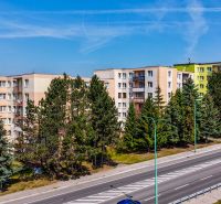 A building surrounded by greenery on Viestova Street in Myjava suitable for a 4-room apartment.
