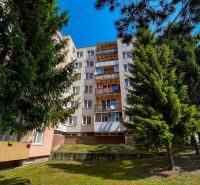 The apartment building on Viestova Street in Myjava, surrounded by trees, offers 4-room accommodation.
