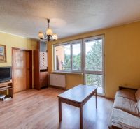 Living room with a sofa, a television on the floor with a wooden decor in a 4-room apartment.