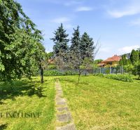 A garden of a family house in Dunajská Streda with a lawn, trees, and a walkway.