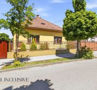 A family house in Dunajská Streda with a front garden, fencing, and trees along the road.