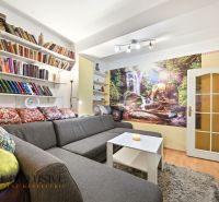 Living room in a 3-room apartment with colorful pillows, carpet, books, and an oriental photo wallpaper.