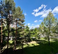 A park with tall trees surrounding a 4-room apartment on Pri kríži Street, Bratislava-Dúbravka.