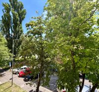 Greenery and parking around the 4-room apartment on Pri kríži in Bratislava - Dúbravka.