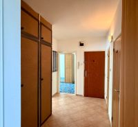 Hallway of a 4-room apartment with storage cabinets and brown doors.