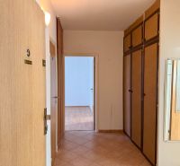 A hallway with a wardrobe and flooring in the decor of a 4-room apartment, light walls.