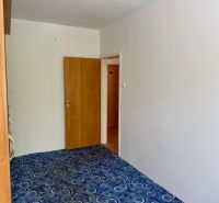 A view into a 4-room apartment with carpet and wooden doors.