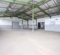 Spacious production facilities with a metal structure and concrete floor.
