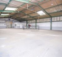 Extensive production facilities with skylights and an administrative block.