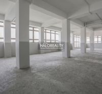 Spacious production areas with large windows and concrete flooring.