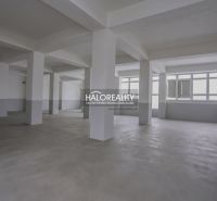 Basement production facility interior with concrete floor and large windows.
