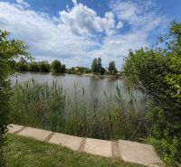 A lake surrounded by greenery and reeds in Kopčany near the cottage.