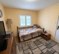 A room in a cabin with a bed, television, and wooden furniture.