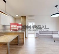 Living room of a 3-room apartment with a kitchen, wooden decor flooring, and a sofa.