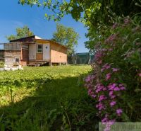 A cottage in Bernolákovo surrounded by a garden with flowers and a grassy area.