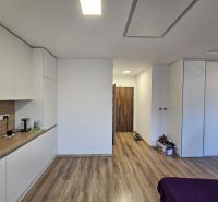 A kitchen in a studio apartment with white cabinets and a wood-patterned floor.