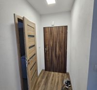 The hallway with a wooden decor floor in the one-room apartment has simple white walls.