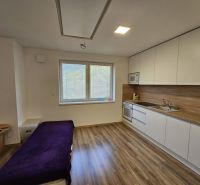 A one-bedroom apartment with a built-in kitchen and a floor with a wooden decor.