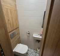 Toilet arrangement with wood decor flooring and decorative tiles in a 3-room apartment.