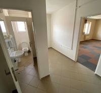 Commercial premises with sanitary facilities and a room with carpet flooring.