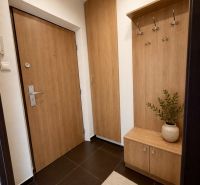 A hallway of a studio apartment with wooden decor, a built-in wardrobe, and a practical coat rack.