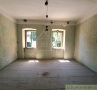 An older room in a family house with a wood-patterned floor and green walls.