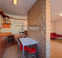 A kitchen connected to the living room in a 3-room apartment, a floor with a wooden decor, a brick wall.