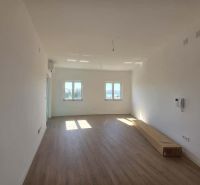 A bright room in a 2-room apartment with a wooden decor floor and a view of the window.
