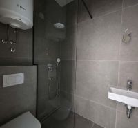 The bathroom in the 2-room apartment has a shower, a toilet, and a sink.