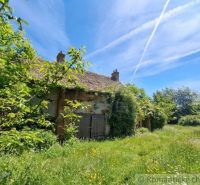 An overgrown family house in Ozdín surrounded by nature and a blue sky.