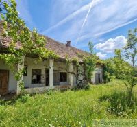 An older family house in Ozdín, covered with vines, surrounded by a grassy garden.