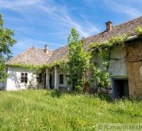 An old family house in Ozdín surrounded by green grass and vineyards.