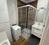 Bathroom with toilet, shower, washing machine, and wooden decor flooring in a 3-room apartment.