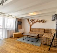 Living room in a 3-room apartment with a comfortable sofa and a wooden decor floor.