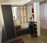 Hallway in a family house with a shoe cabinet and a mirror.