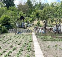 A garden at a family house in Bartošova Lehôtka with rows of planted plants and trees.