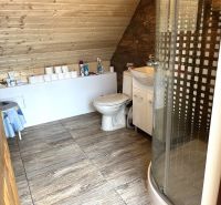 A bathroom with wooden paneling, a shower enclosure, and a floor with a wooden decor, in a family house.