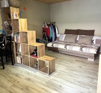 Interior of a family house with a sofa, bookshelf, and wooden decor flooring.