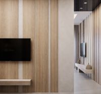 Interior wall with TV and decorative wooden element in a studio apartment.