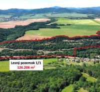 Aerial view of agricultural and forest lands in Domaníky surrounded by forests and fields.